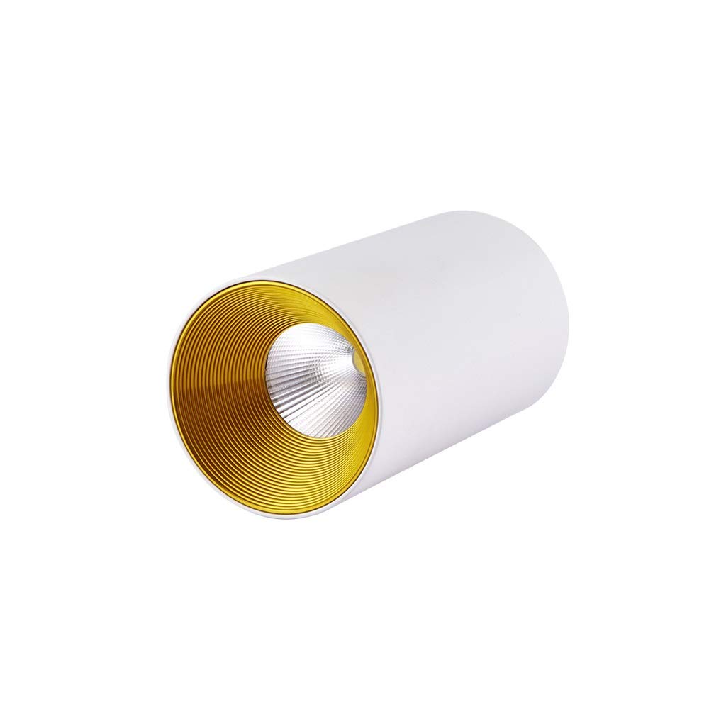 HynJGih Surface Mounted Downlight Round Ceiling Hanging line Living Room Ceiling Spotlight led Ceiling Light Corridor Aisle Barrel Light led Downlight(White 12W,White Light)