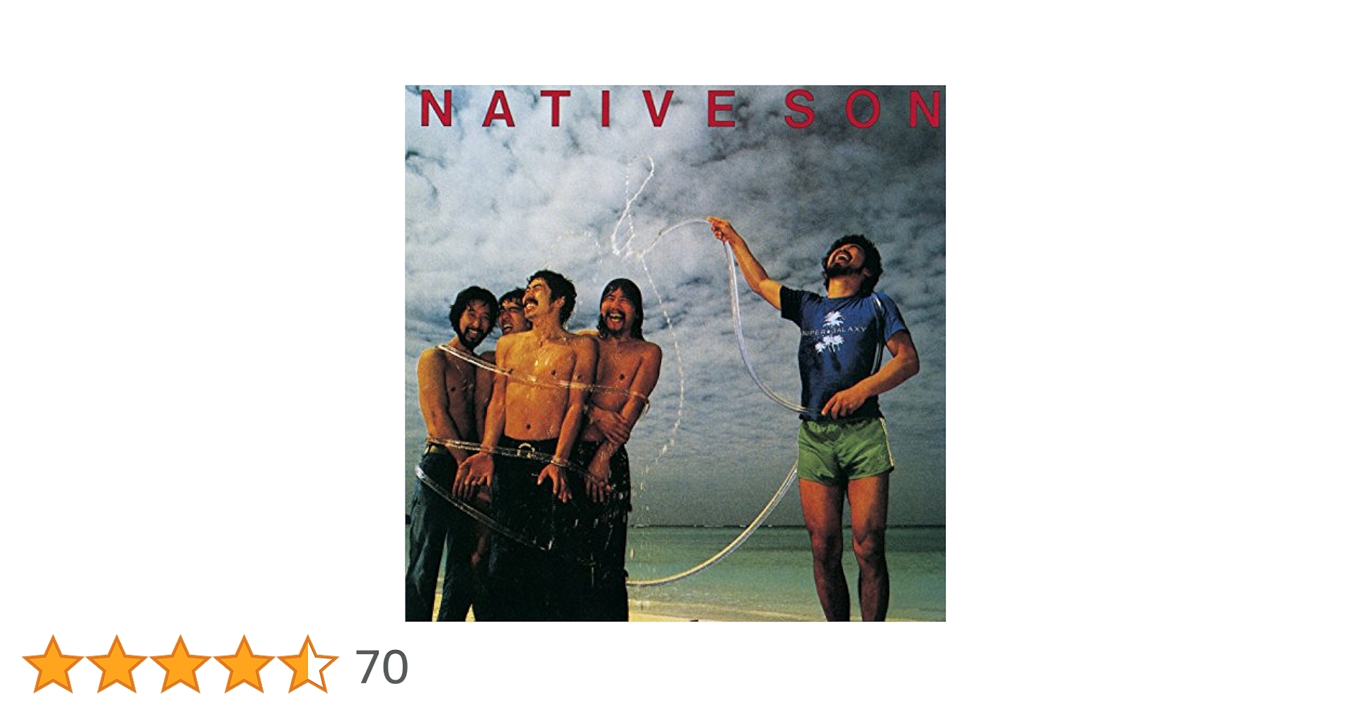 30枚おまとめセット❗️★ネイティブ・サン★レコード★ NATIVE SON ネイティブ・サン / NATIVE SON (LP) - HIP TANK RECORDS