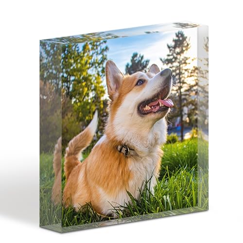 TULLUN Personalisierte Individuelle Benutzerdefinierte Haustier Denkmal Hund Katze Tier Acryl Kristall Klar Block Plaque Plakette Foto Text Name Datum - Vollständiger Druck 3D Effekt