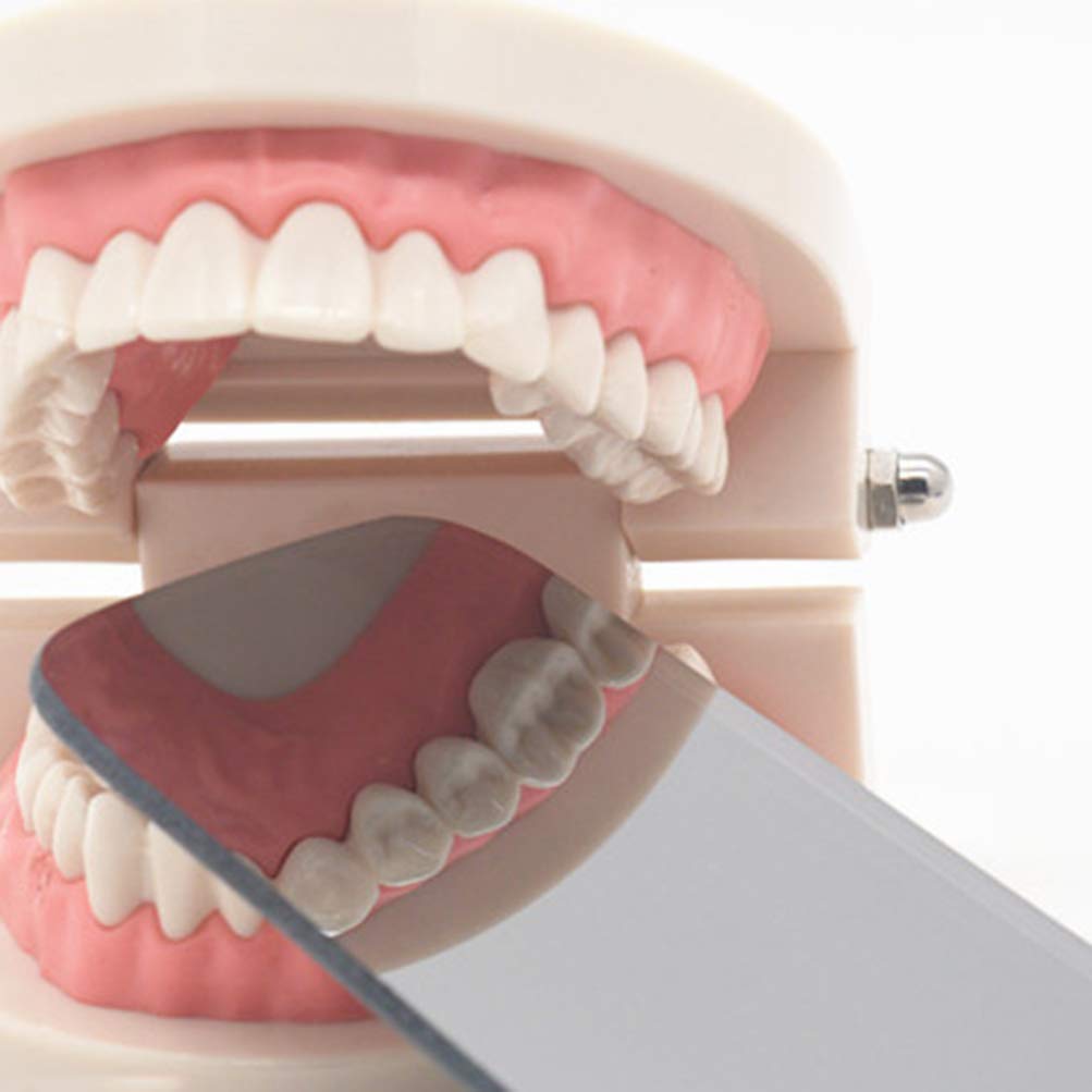 EXCEART Espejo De Inspección Bucal Intraoral 5 Uds Herramienta Compacta 4.52x2.55 Pulgadas