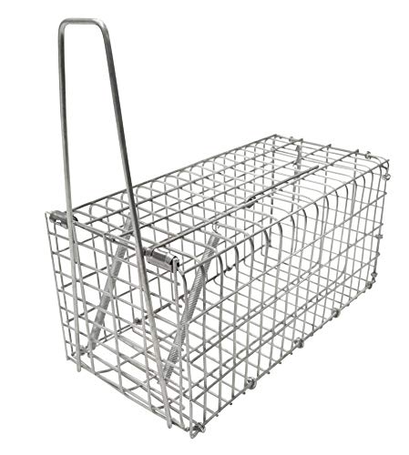 Home>it® Rattenfalle aus verzinktem Metall – Lebendfalle mit Tragegriff & Falltür, 22 x 10 x 10 cm Home>it® Rattenfalle aus verzinktem Metall – Lebendfalle mit Tragegriff & Falltür, 22 x 10 x 10 cm