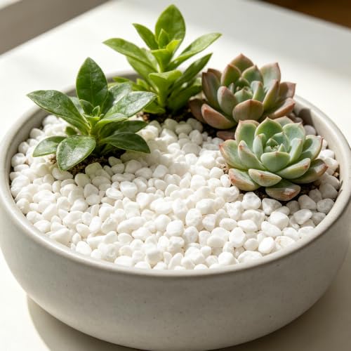Image of 5lbs Natural Gravel Pebbles for Succulents and Cacti, 1 /5 Inch Decorative River Stones - Perfect for Vases, Aquariums, Terrariums, and Outdoor Gardening, Mixed Colors (White, 20 Pounds)