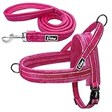 Didog Soft Flannel Padded Dog Vest Harness & Leash, Escape Proof/Quick Fit Reflective Dog Strap...