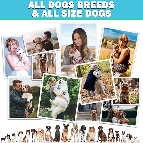 Texas Pet Company Flea and Tick Prevention for Dogs Chewables - Natural Dog Fleas & Ticks Treatment Chewable Supplement - Oral Pills - All Breeds & Ages - USA Made 120 Soft Chews Flea Defender