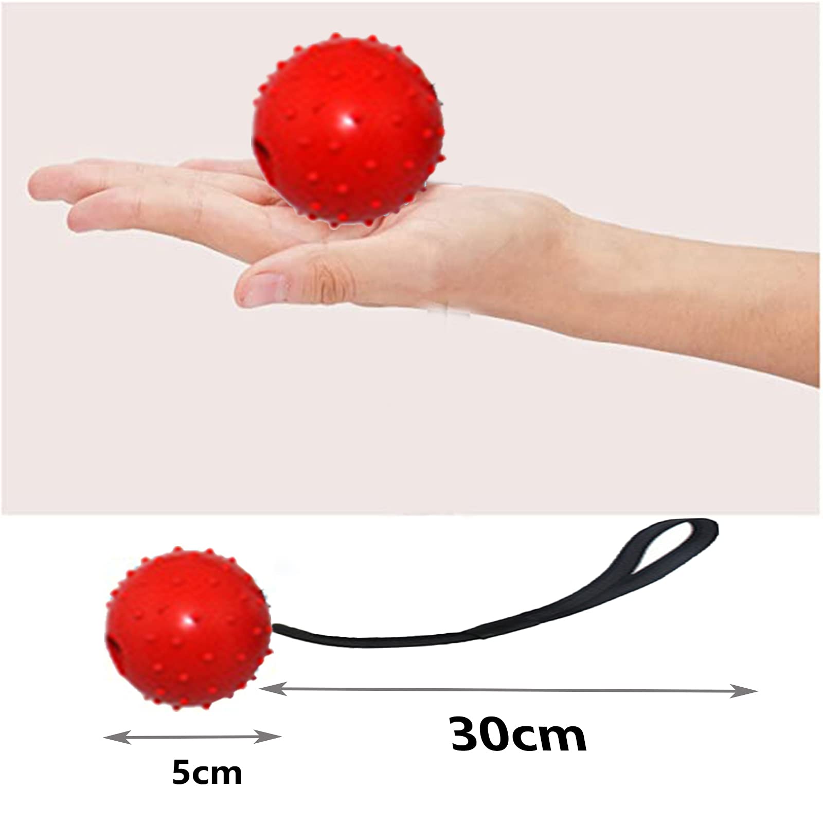 4 Palline Con Corda Per Cani - Giocattolo In Gomma Naturale Per Lancio E Riporto