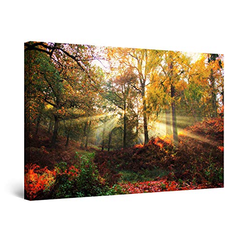 Startonight Impression Sur Toile Rayons de Soleil d'Automne, Tableau Paysage- Decoration Murale Salon Moderne - Image sur Toile - 80 x 120 cm Cover