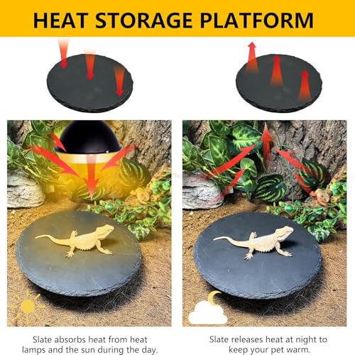 Tfwadmx Reptile Basking Platform,7.8IN Tortoise Rock Slate Plate Feeding Food Bowl Dish Turtle Bathing Resting Terrace for Lizard Bearded Dragon Chameleon Gecko Snake Frog Newt by Tfwadmx - Image 3