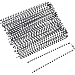 Meister 9962900 150 x 20 mm Hot-Dip Galvanised Steel Pack of 25 in a Practical Set Suitable for Films, Nets for Fixing…