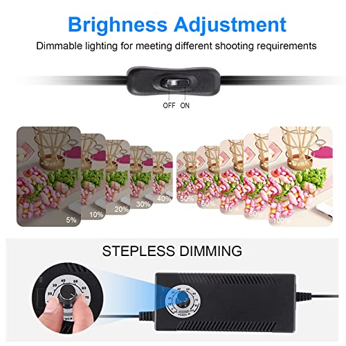 SYSCLOUD Photo Studio Light Box, 32\"x32\" Professional Dimmable Shooting Tent Kit with 210 LEDs Lights & 6 Kinds Double-Sided Color Backgrounds for Product Photography