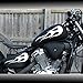 kit ADESIVI DECAL STICKERS COMPATIBILE PER MOTO HONDA SHADOW CUSTOM FLAM materiale di alta qualità aderiscono perfettamente al fondo e resistenti al trattamento verniciatura (BIANCO)