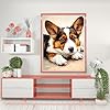 IPISSOI Diamond Painting Kits for Adults, DIY 5D Animal Close-Ups Diamond Painting Poor Dog Full Drill Art Cardigan Welsh Corgi Diamond Painting Craft for Home Wall Decor 12x16inch #1