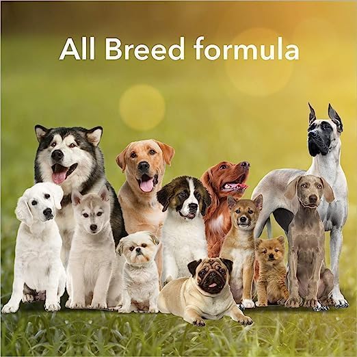 Image of Chicken Flavor Dog Biscuits for All Age & Size Dogs(1 Kg),All Life Stages