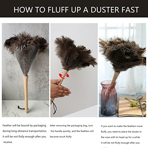 Tharaht 1Pcs Ostrich Feather Duster Fluffy Natural With Wood Handle Reusable Washable For Cleaning Keyboard,Home,Car,Office Ostrich Feather Duster,16 Inch #TOP4