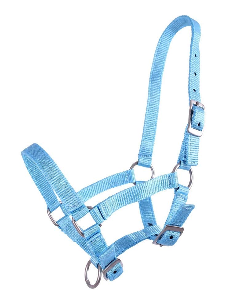 Bozal de potro QHP con triple regulación de nylon fuerte antirrozaduras azul claro