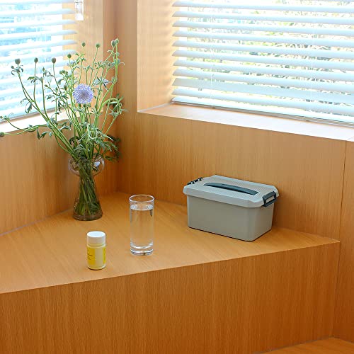 Bangqiao Small Multipurpose Plastic Storage Carry Box, Portable Tool Container Organizer Bin Case With Removable Divider Tray And Handle For Art, Craft, Sewing Supplies, Blue #TOP6