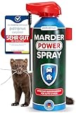 Patronus Marderspray Auto - effektive Marderabwehr fürs Auto - schneller Marderschutz mit zuverlässiger Sofortwirkung - Anti-Marder Spray zum Marder Vertreiben - Alternative zu Marderschreck, 400 ml