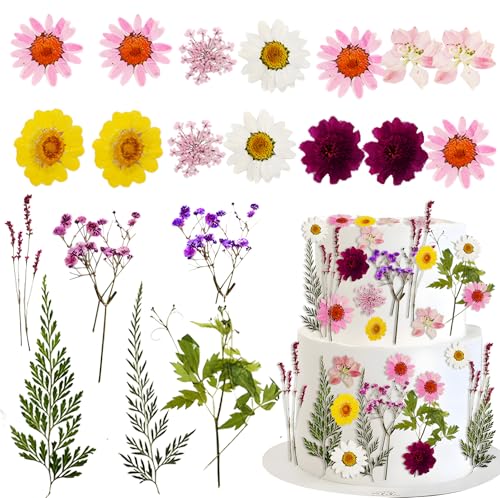 Morofme Wildflower Cake Toppers Flowers Cake Decorations Spring Cupcake Toppers Wildflower Theme Cake Decoration Baby In Bloom Baby Shower Dried Pressed Flower for Birthday Wedding Party Supplies