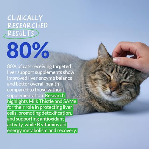 Image of Milk Thistle Powder for Cats - Liver, Kidney & Detox Support