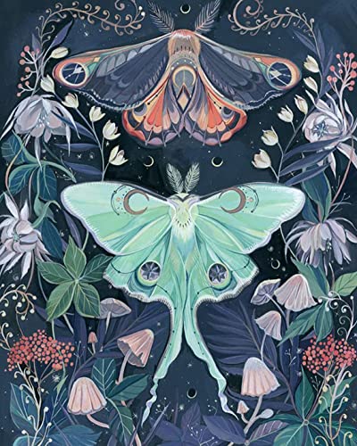 TISHIRON Paint by Numbers for Adults, Butterfly Adult Paint by Numbers, Flowers Paint by Numbers for Adults Kids and Beginner, 16X20 Inch Flameless Oil Painting Kits Gift for Kids and Adults