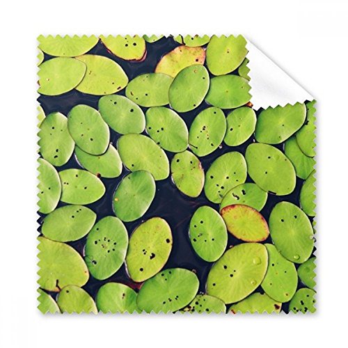 Cadeau de nettoyage naturel avec chiffon microfibre pour verres
