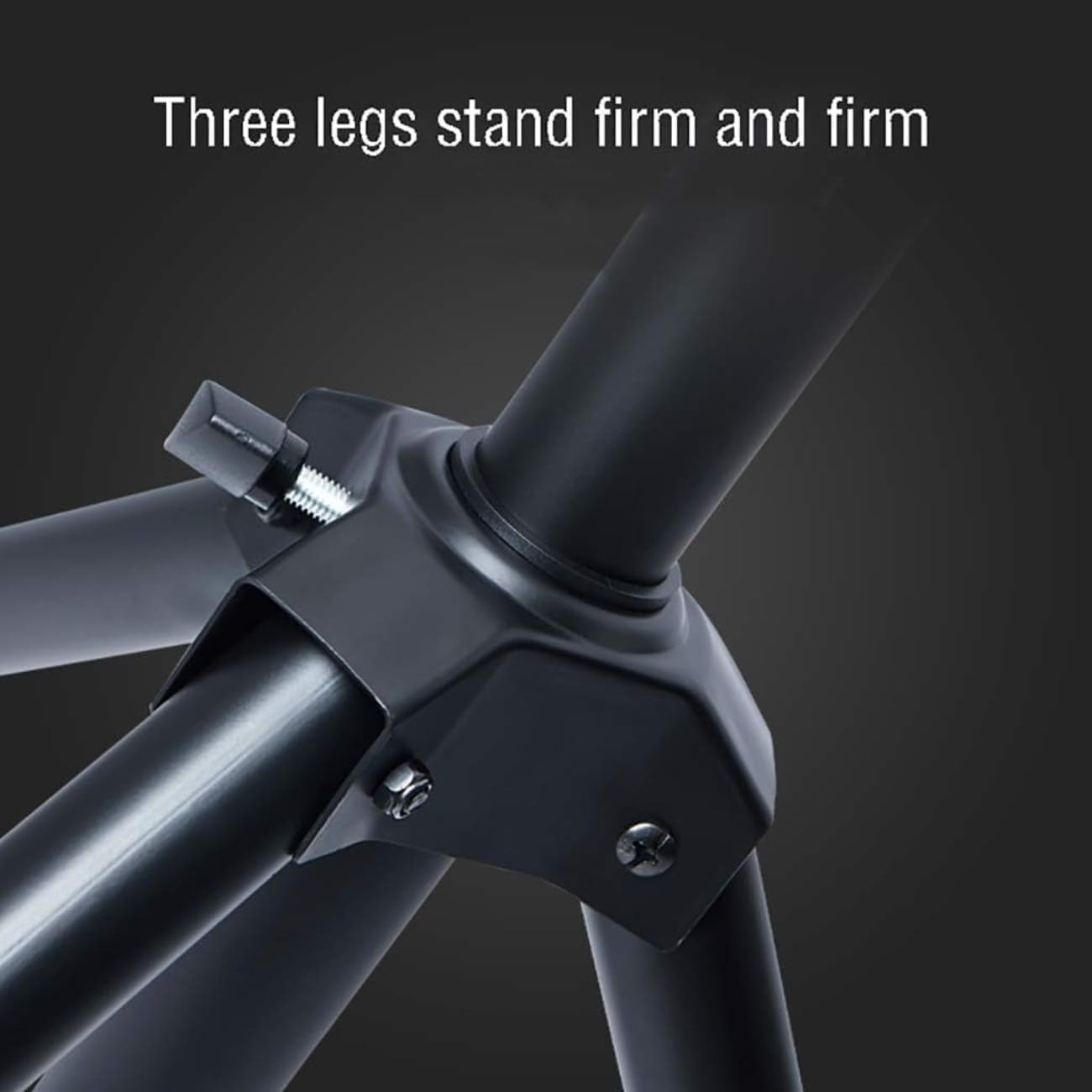 KEF S2 Floor Stand カーボンブラック ペア スピーカースタンド