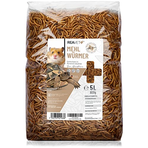 REAVET Feinkost Mehlwürmer getrocknet 5 Liter – Premium Mehlwürmer für Hamster, Ziergeflügel, Reptilien, Fische…