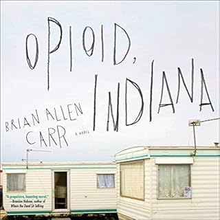 Opioid, Indiana Audiolibro Por Brian Allen Carr arte de portada