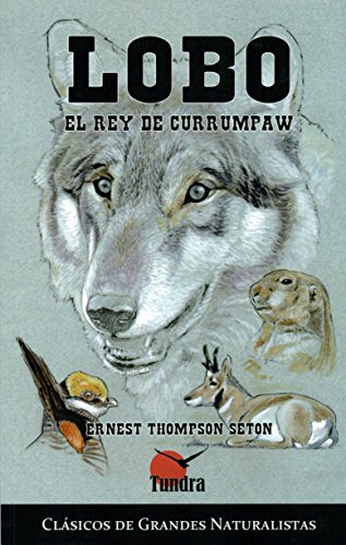 Lobo, el rey de currumpaw (CLASICOS DE GRANDES NATURALISTAS)
