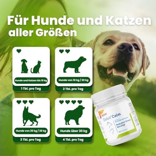 Dolvit Calm Beruhigungsmittel für Hunde und Katzen 30 Tabletten, Entspannungs- & Anti-Stress-mittel für Hunde mit Baldrian, L - Tryptophan und Zitronenmelisse, Schmackhaft und Leicht Enzunehmen