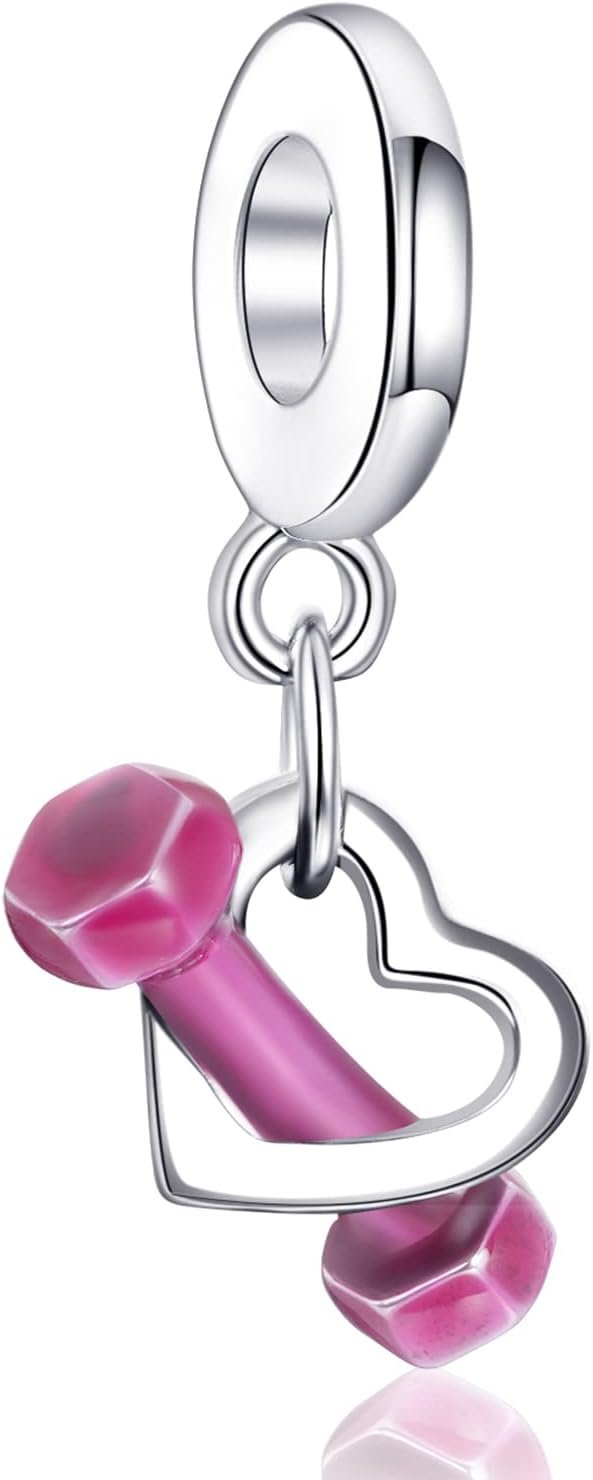 Annmors Silver Charms for Bracelets 925 Sterling Dragonfly Family Heart Love Dangle for Women Bracelet & Necklace Pendant