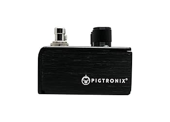 Amazon.com: Pigtronix Infinity 2 Looper Pedal : Musical
