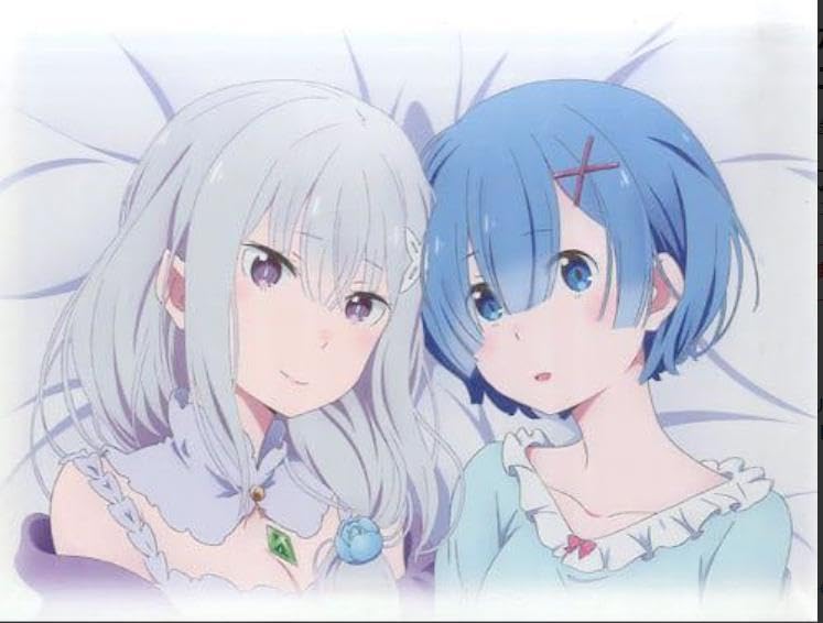 Amazon.co.jp: Re：ゼロから始める異世界生活 キャンバスボード B