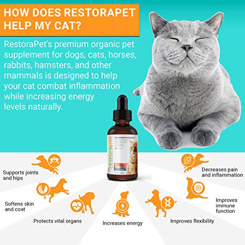 Restorapet Organic Cat Supplement | Healthy & Safe Antioxidant Liquid Drops | Anti-Inflammatory Multi-Vitamin | Increases Mobility & Energy | Cat Joint Supplement | Tuna Flavored #TOP1