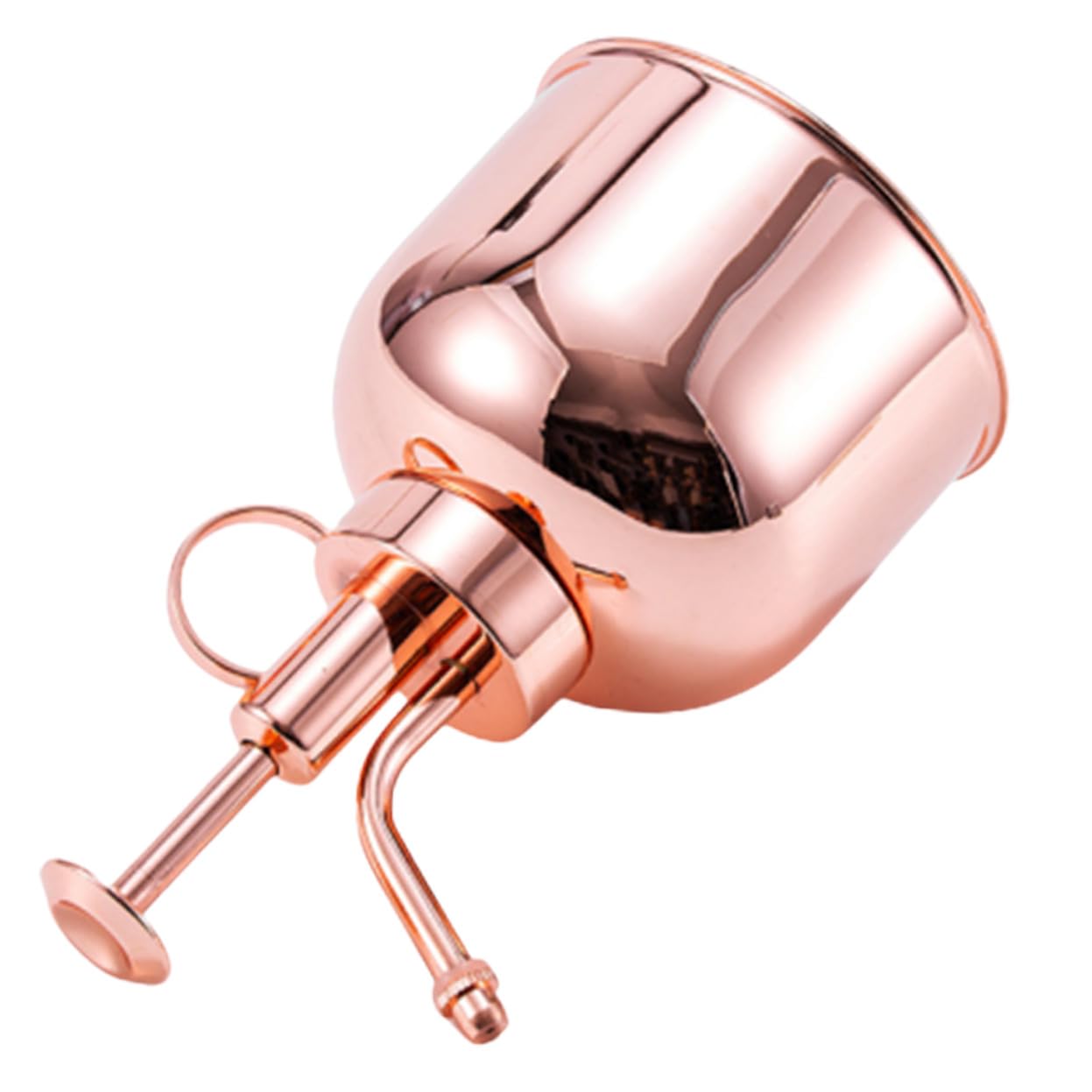 INOOMP Vintage Edelstahl Pflanzenspritze 300ml Roségold Kleine Gießkanne Mit Sprühpumpe Für Zimmer Und Gartenpflanzen Luftbefeuchtung Blumenpflege Terrassenbewässerung