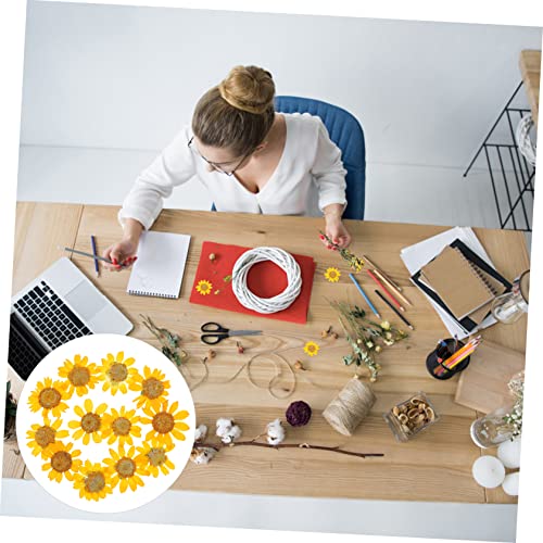 EXCEART 24 Peças Moldes De Resina De Crisântemo Imperador Seco Artesanato Fazendo Flores Secas Amule