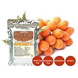 [Jeongwoodang]Sea Buckthorn Vitamin Tree Fruit Powder 7oz/1000 times higher vitamin C than Apple/Vitamin