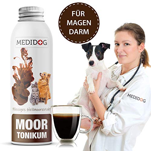 Katze Heilerde Verabreichen Top 3 Modelle verglichen!