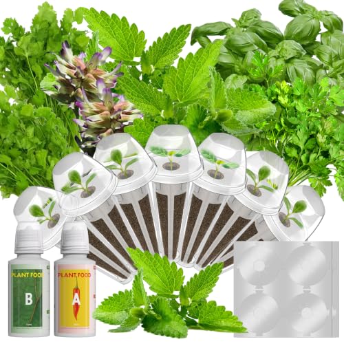 Quality Herb Seed Pod Kit for AeroGarden, iDOO, Ahopegarden - Compatible with All Hydroponic Indoor Garden Systems, High Germination, Includes Basil, Parsley, Mint, Cilantro, Liquorice, 7 pods