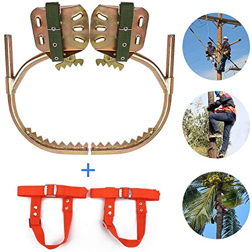 Crampons d'élagage professionnels antidérapants pour monter aux poteaux sans glisser