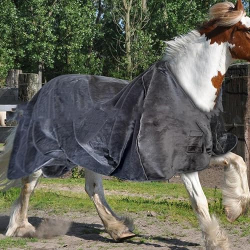 Couverture de pluie pour cheval : drap d'hiver chaud et réglable