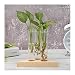 JINGGEGE Transparente Glasvasen Holzrahmen Eisen-Kunst-Terrarium Bonsai Tabelle Ornamente aus Holz und Glas Vase Planter Terrarium Tabelle Desktop-DIY (Color : 13)