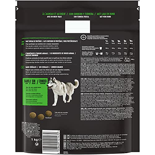 CRAVE Trockenfutter für ausgewachsene Hunde mit Lamm & Rindfleisch – 6 Beutel à 1 kg – Trockenfutter ohne Farbstoffe, Aromen oder Konservierungsstoffe, mit einem hohen Proteingehalt