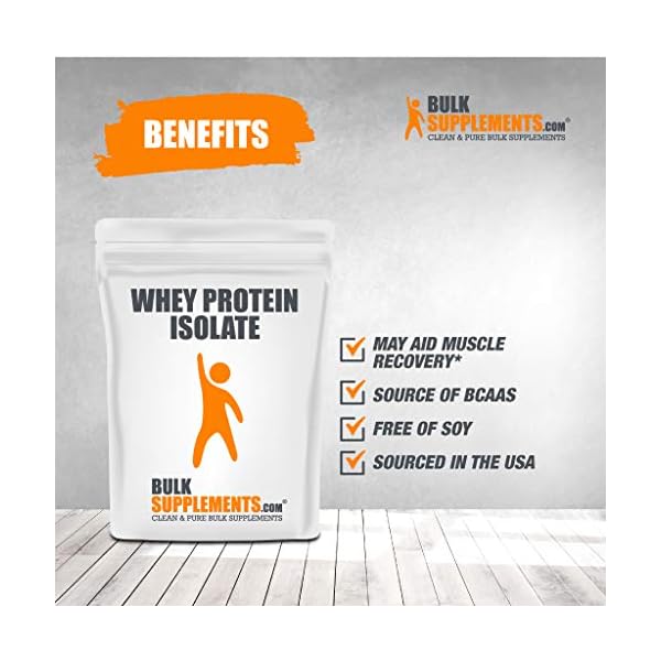 Whey Protein Isolate Powder 90 Bulk Protein