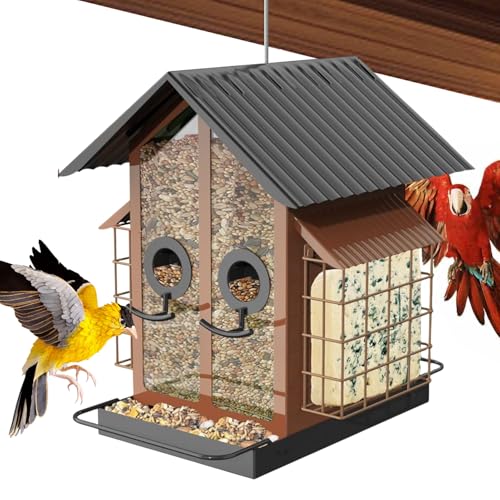 Uoqpty para Pájaros con Casa - Suministros para Aves A Prueba De Ardillas Y Resistentes Al Clima - s para Aves Silvestres - para Jardín Patio Balcón Terraza Porche Árbol Valla Ventana Observación En