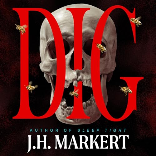 Dig Audiolivro Por J. H. Markert capa