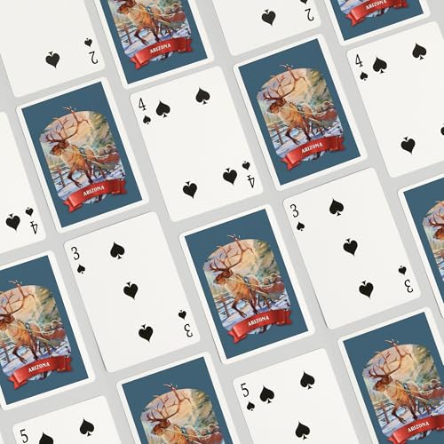 Lantern Press Deck de Cartas Poker Tamaño 52 Piezas miniatura 4