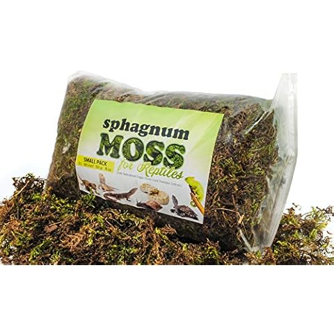 My Happy Snails Reptile Moss - Organic Green Spagnum Moss - Dried Substrate for Terrarium Vivarium (Mini Pack (Tester) - 1 Litre / 50 gr / 3.5 oz) Cover