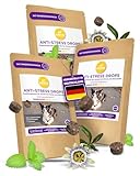 KUNTO®️ Natürliches Entspannungs- & Anti-Stress-Mittel für Hunde für entspannte Momente zur Hund Beruhigung - mit Rindfleischgeschmack - hohe Akzeptanz - Deutsche Herstellung (3x350g) - NEU