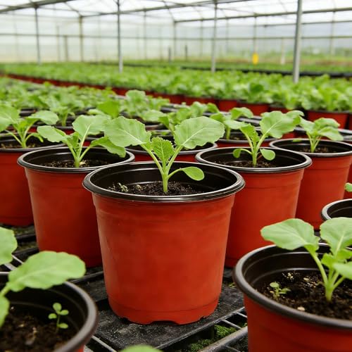Viaoone Nursery Pots, 110 Pcs 4.7 Inch Plastic Plant Pots with Drainage Holes Lightweight Seed Starting Pots for Indoor & Outdoor Plants, Flowers and Herbs, with Labels and Gardening Tools - Image 5