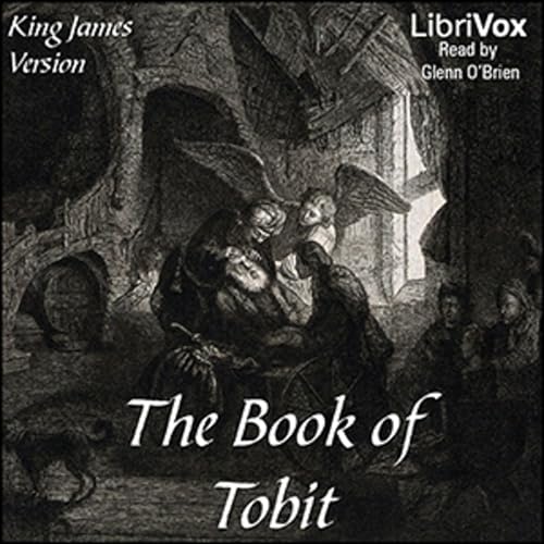 King James Bible - Book of Tobit Podcast Por Audiobooks by Librivox arte de portada